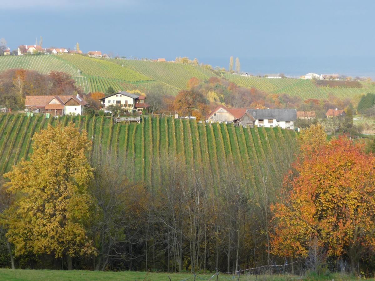 Auszeit Ferienhaus Fur 6 Personen ,Mit Grosser Terrasse Und Panoramablick, Turracher Hohe -A1 Haus 436 A Links- 外观 照片